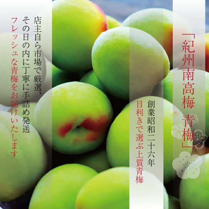 楽天市場】南高梅 青梅 送料無料 【本場紀州産】【 4L サイズ 10kg 