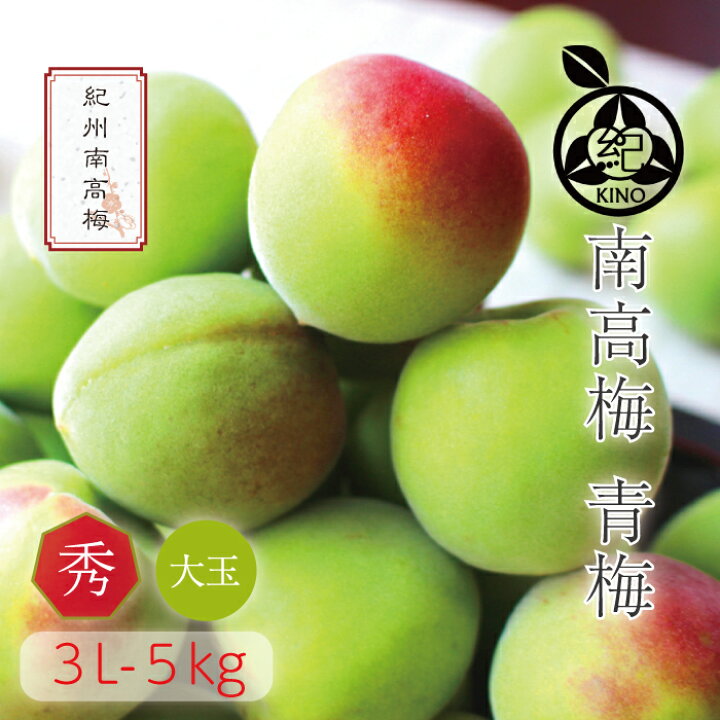 54 Off 青梅 梅酒用 南高梅 送料無料 梅酒 梅シロップ 梅ジュース 5ｋｇ