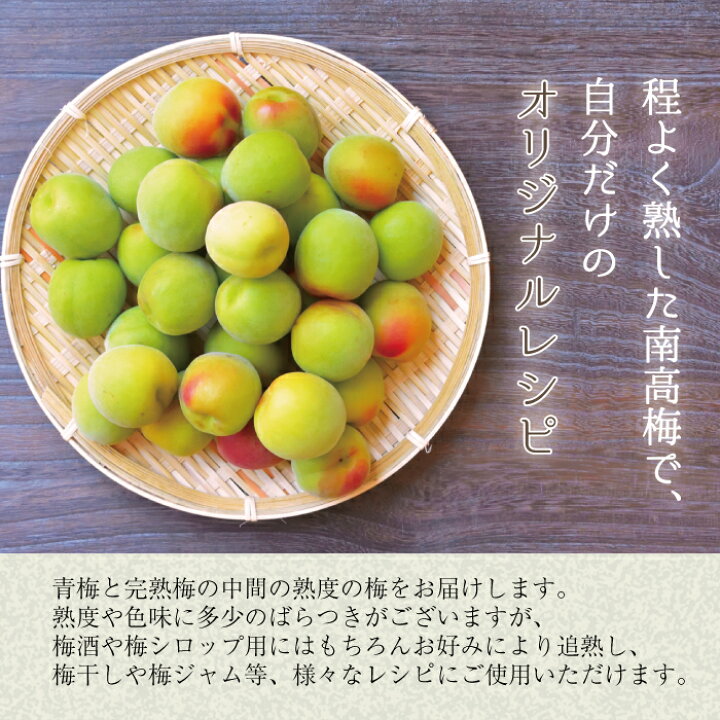 楽天市場】南高梅 送料無料 【本場紀州産】中熟【 3L サイズ 