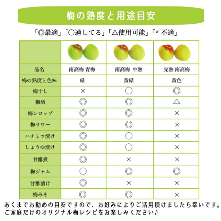 楽天市場】南高梅 送料無料 【本場紀州産】中熟【 2L サイズ 5kg 