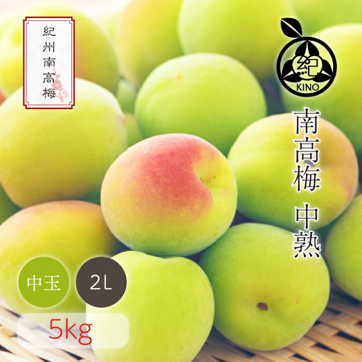 楽天市場】南高梅 送料無料 【本場紀州産】中熟【 2L サイズ 5kg 