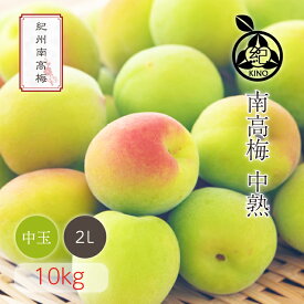 南高梅 送料無料 【本場紀州産】中熟【 2L サイズ 10kg 】産地の市場で厳選したブランド梅を、その日のうちに丁寧に手詰めし発送致します和歌山 みなべ 田辺 生梅 中玉 中粒 予約梅酒用 梅シロップ用 梅ジュース用 梅干し用 半熟 紀の