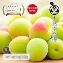ほんのり熟した木熟南高梅 中熟 3L 大粒 家庭用 本場紀州より産地直送 梅干し用 梅酒用 梅シロップ用 自分好みに追熟…