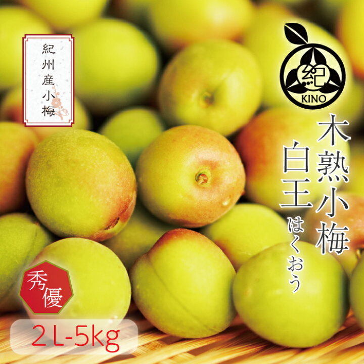 楽天市場】小梅 梅干し用 白王 【本場紀州産】【2L サイズ 5kg 】送料無料果皮、果肉ともに柔らかく梅干しに最適な品種産地の市場で厳選した梅を、丁寧に手詰めし発送致します!和歌山産 みなべ 田辺 生梅 梅 予約 紀の : 紀州の旬マルシェ 紀の