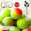 和歌山県産 南高梅 青梅 3L 大粒 家庭用 本場紀州より 新鮮な青梅を産地直送 梅酒用 梅シロップ用 梅ジュース用 丁寧…
