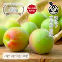 和歌山県産 南高梅 青梅 訳あり 家庭用 2L/3L 本場紀州より 新鮮な青梅を産地直送 梅酒用 梅シロップ用 梅ジュース用 …