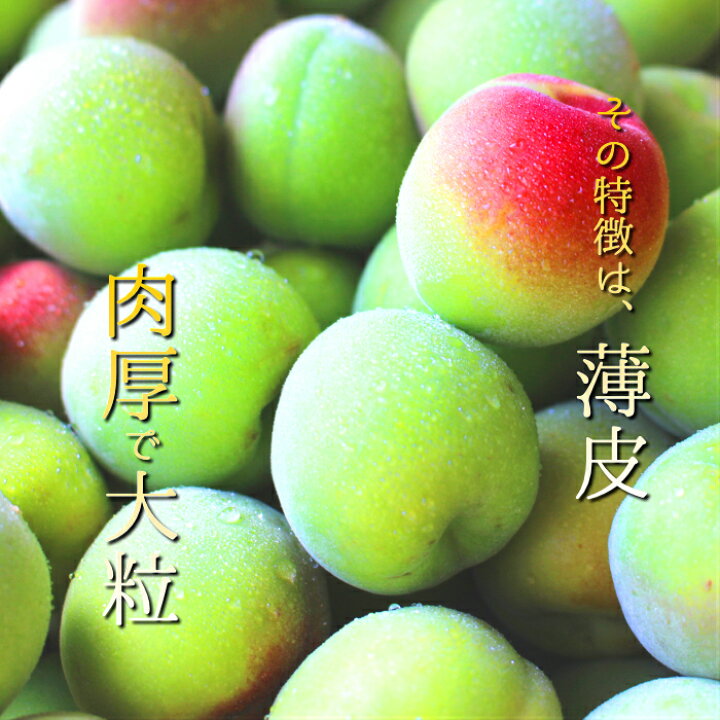 楽天市場】南高梅 青梅 送料無料 【本場紀州産】【秀優混合 2L サイズ 5kg】産地の市場で厳選したブランド梅を、その日のうちに丁寧に手詰めし発送致します!和歌山産 みなべ 田辺 予約梅酒用 梅シロップ用 梅ジュース用 生梅 梅 中玉 中粒 紀の : 紀州の旬マルシェ 紀の 楽天市場】南高梅 青梅 送料無料 【本場紀州産】【秀優混合 2L サイズ 5kg】産地の市場で厳選したブランド梅を、その日のうちに丁寧に手詰めし発送致します!和歌山産 みなべ 田辺 予約梅酒用 梅シロップ用 梅ジュース用 生梅 梅 中玉 中粒 紀の : 紀州の旬マルシェ 紀の