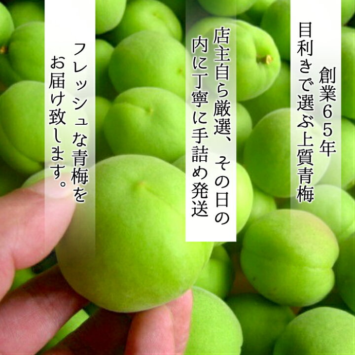 楽天市場】南高梅 青梅 送料無料 【本場紀州産】【秀優混合 2L サイズ 5kg】産地の市場で厳選したブランド梅を、その日のうちに丁寧に手詰めし発送致します!和歌山産 みなべ 田辺 予約梅酒用 梅シロップ用 梅ジュース用 生梅 梅 中玉 中粒 紀の : 紀州の旬マルシェ 紀の 楽天市場】南高梅 青梅 送料無料 【本場紀州産】【秀優混合 2L サイズ 5kg】産地の市場で厳選したブランド梅を、その日のうちに丁寧に手詰めし発送致します!和歌山産 みなべ 田辺 予約梅酒用 梅シロップ用 梅ジュース用 生梅 梅 中玉 中粒 紀の : 紀州の旬マルシェ 紀の