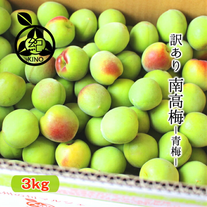Sale 59 Off 梅 紀州 南高梅 和歌山県産 秀品 大きさおまかせ 3kg うめ 生梅 Rmladv Com Br