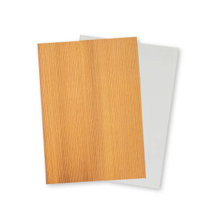 ؂̎iЖʖ؁EЖʎ^ؖځFc^qmL܂ځA܂ځjLmƒpCNWFbgv^[p A4TCY 210mm×297mm |X^[ j[\ EFJ{[h \ɂ