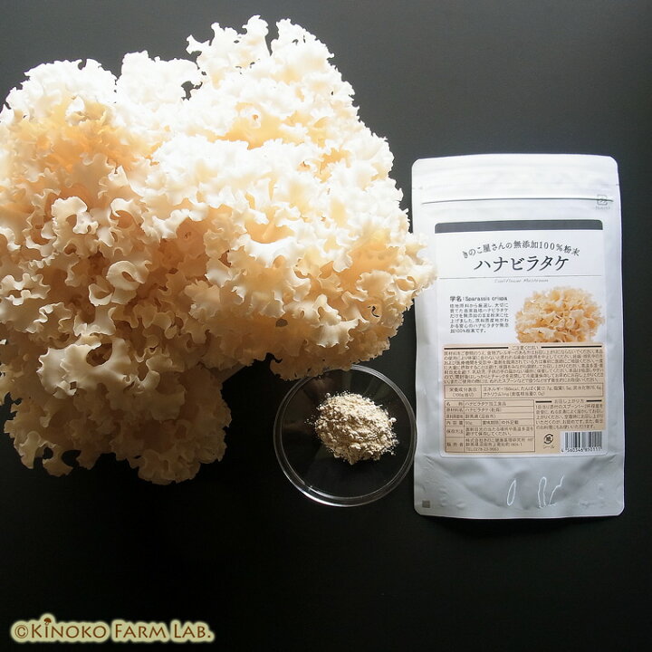 楽天市場 送料無料 ハナビラタケ 無添加 100 粉末 50g はなびらたけ パウダー 花びら茸 微粉末 癌 健康 ベーターグルカン ヘルシー Bグルカン 免疫 きのこ 抗がん きのこファームラボ