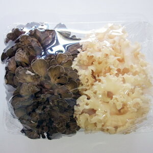 nir^P }C^P lߍ킹(500g) RRH ̂ N NxQ ͔| ͂Ȃт炽 Ԃт  ܂ uߗ _͔|