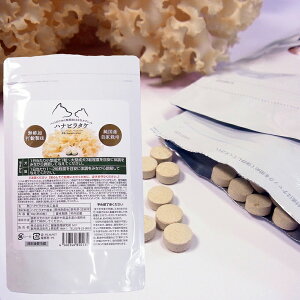  L N  ybgp nir^P Y 100 ^ubg (10g) 40 Tvg  L Ɖu Tv LTv y1z