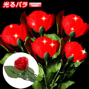 y]4.86zo bhi3p^[jkyCg k-pop oy  Ԃ̃yCg LED  Ԃo KN    LO LO a v[g Mt