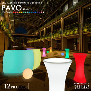 s12_pbP[WtPAVO p[HyNۏ؁zk  CeA Ƌ LED e[u  `FA CX ֎q  񎟉 p[eB[ Cxg Nu ze ][g o  