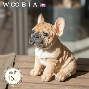 傱ƍ񂱁s t`uhbO (16cm)tk WOOBIA E[rA K[fjO  u q k  K[fG  K[fjOG 킢 i`   O Iu
