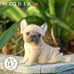 ̔炵񂱁s t`uhbO (14.7cm)tk WOOBIA E[rA K[fjO  u q k  K[fG  K[fjOG 킢 i`   O I