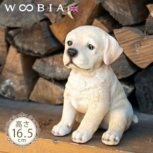傱ƍ񂱁s uh[ (16.5cm)tk WOOBIA E[rA K[fjO  u q k  K[fG  K[fjOG 킢 i`   O IuWF 
