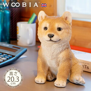 傱ƍ񂱁s Č (20.3cm)tk WOOBIA E[rA K[fjO  u q k  K[fG  K[fjOG 킢  A i`   O I