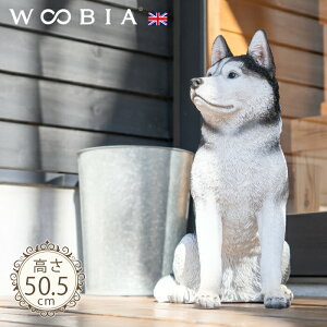 傱ƍ񂱁s VxAnXL[ (50.5cm)tk WOOBIA E[rA K[fjO  u q k  K[fG  K[fjOG 킢 A i`   