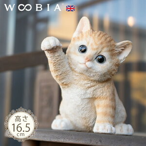 菵ɂ񂱁s geL (16.5cm)tkK[fjO L u qL L k  K[fG  K[fjOG 킢 i`   O IuWF CMX Aj}