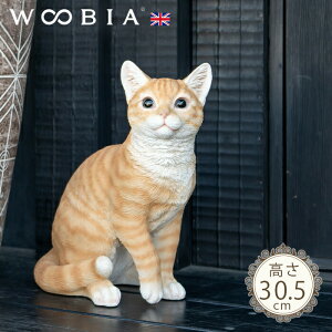 傱ƍɂ񂱁s gL (30.5cm)tk WOOBIA E[rA K[fjO L u qL k  K[fG  K[fjOG 킢 i`   O IuWF C