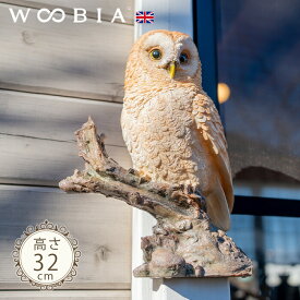 木に留まるフクロウ《 茶梟 (32cm)》〔 WOOBIA ウービア ガーデニング 置物 ふくろう カラスよけ 鳥よけ 鳩よけ 北欧 おしゃれ ガーデン雑貨 動物 ガーデニング雑貨 かわいい フクロウ 梟 庭 玄関 屋外 オブジェ イギリス ウェルカム エクステリア インテリア 〕