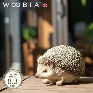 ރnlY~s sO~[wbWzbO (8.3cm)tk WOOBIA E[rA K[fjO u  nlY~ k  K[fG  K[fjOG 킢 i`  