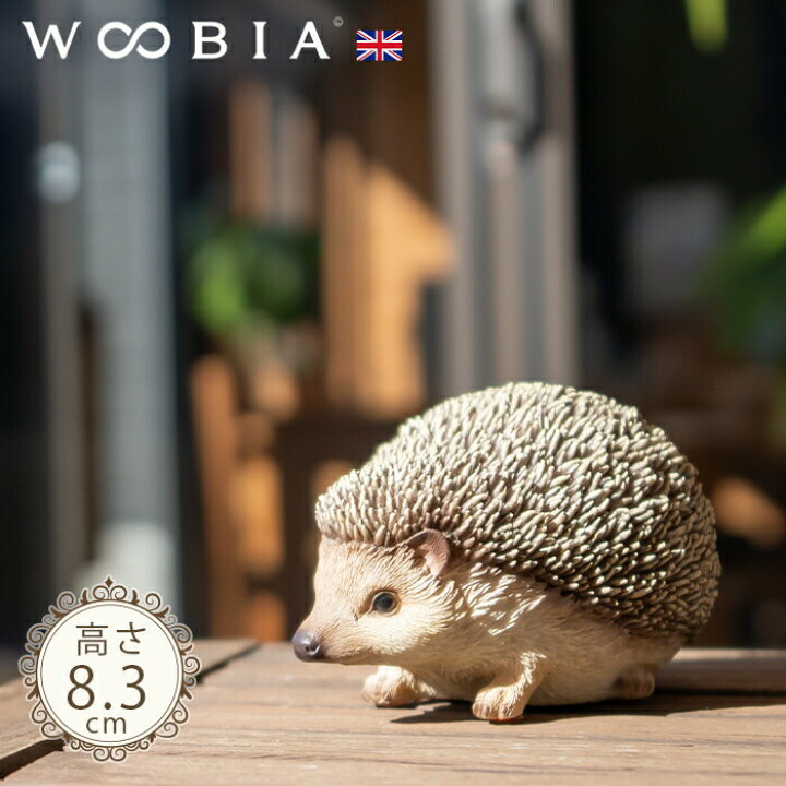 楽天市場】かがむハリネズミくん《 ピグミーヘッジホッグ (8.3cm 
