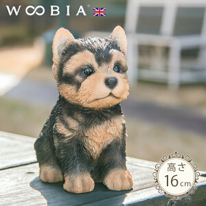 傱ƍ񂱁s [NV[eA (12cm)tk WOOBIA E[rA K[fjO  u q k  K[fG  K[fjOG 킢 i`   O Iu