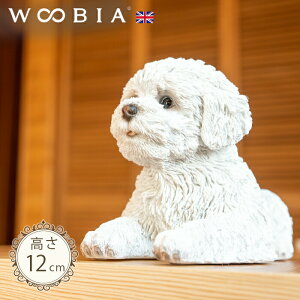 񂱁s rVt[[ (12cm)tk WOOBIA E[rA K[fjO  u q k  K[fG  K[fjOG 킢 i`   O IuWF C