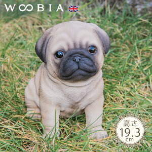 傱ƍ񂱁s pO (19.3cm)tk WOOBIA E[rA K[fjO  u q k  K[fG  K[fjOG 킢  A i`   O I