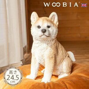 傱ƍ񂱁s Hc (24.5cm)tk WOOBIA E[rA K[fjO  u q k  K[fG  K[fjOG 킢 i`   O IuWF CM