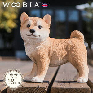 Ă񂱁s Č (18cm)tk WOOBIA E[rA K[fjO  u q k  K[fG  K[fjOG 킢 i`   O IuWF CMX A