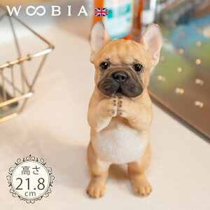 ˂肷񂱁s t`uhbO (21.8cm)tk WOOBIA E[rA K[fjO  u q k  K[fG  K[fjOG 킢 i`   O Iu