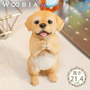 ˂肷񂱁s uh[go[ (21.4cm)tk WOOBIA E[rA K[fjO  u q k  K[fG  K[fjOG 킢 i`   O 