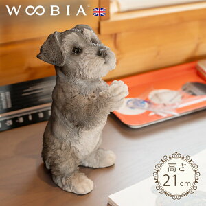 ˂肷񂱁s ViEU[ (21cm)tk WOOBIA E[rA K[fjO  u q k  K[fG  K[fjOG 킢 i`   O IuWF C