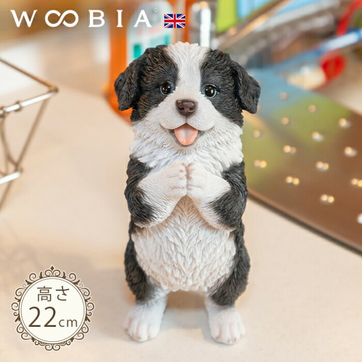 楽天市場】おねだりするわんこ《 ボーダーコリー (22cm 