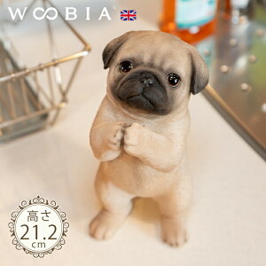 ˂肷񂱁s pO (21.2cm)tk WOOBIA E[rA K[fjO  u q k  K[fG  K[fjOG 킢  A i`   O Iu