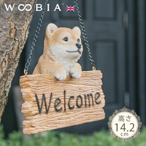 EFJv[g񂱁s Č (14.2cm)tk WOOBIA E[rA EFJ  welcome u K[fjO  u k  K[fG  K[fjOG 킢 i`  