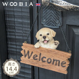 EFJv[g񂱁s uh[go[ (14.4cm)tk WOOBIA E[rA EFJ  welcome u K[fjO  u k  K[fG  K[fjOG 