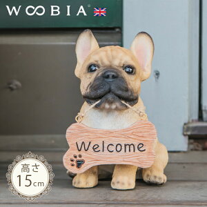 o}񂱁s t`uhbO (15cm)tk WOOBIA E[rA EFJ  welcome u K[fjO  u k  K[fG  K[fjOG 킢 i`