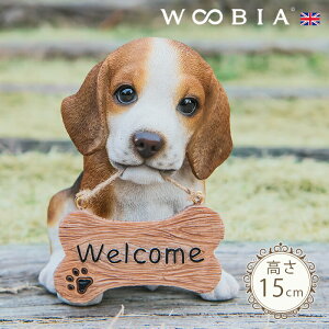 o}񂱁s r[O (15cm)tk WOOBIA E[rA EFJ  welcome u K[fjO  u k  K[fG  K[fjOG 킢 i`  O 