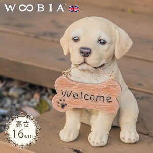 o}񂱁s uh[go[ (16cm)tk WOOBIA E[rA EFJ  welcome u K[fjO  u k  K[fG  K[fjOG 킢 i`
