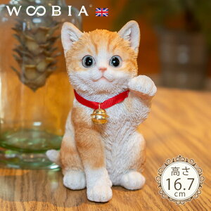 ŏɂ񂱁s g (16.7cm)tk WOOBIA E[rA L K[fjO L u qL k  K[fG  K[fjOG 킢 i`   O IuWF 