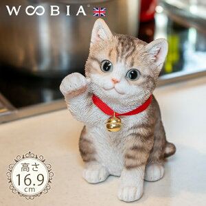 Eŏɂ񂱁s Œg (16.9cm)tk WOOBIA E[rA L K[fjO L u qL k  K[fG  K[fjOG 킢 i`   O IuWF