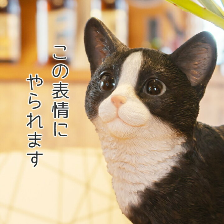 楽天市場】前見るにゃんこ《 ハチワレ (26cm)》〔 ガーデニング 猫 