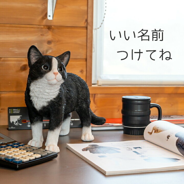 楽天市場】前見るにゃんこ《 ハチワレ (26cm)》〔 ガーデニング 猫 