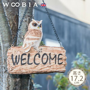 EFJv[gAEs tNE (17.2cm)tk WOOBIA E[rA EFJ  welcome u K[fjO ӂ낤 u k  K[fG  K[fjOG 킢 i`