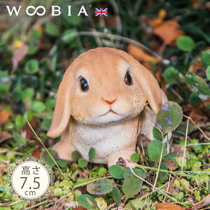 Ȃꎨs CObVbvC[ (7.5cm)tk WOOBIA E[rA K[fjO  u ETM k  K[fG  K[fjOG 킢 i`  
